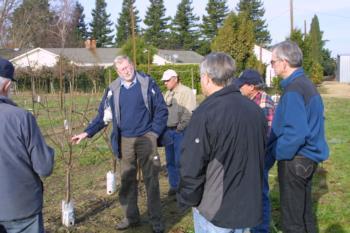 Lynn Long (OSU) discusses KGB pruning at the site. From right to left: Greg Lang (MSU), Jeff McCormack, Joe Grant, Robert Arceo, & Malcolm McCormack.